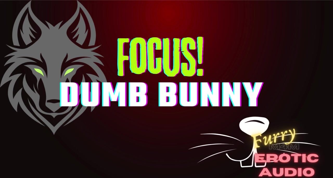 [homosexual unshaved audio] concentrate, dumb bunny! poster